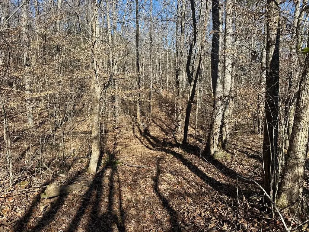 0 Whites Cave Road Sparta TN 38583