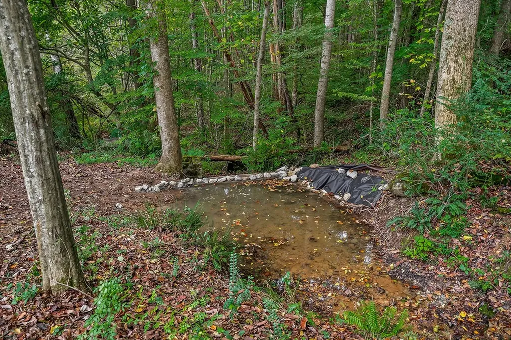 1423 Moodyville Loop Byrdstown TN 38549