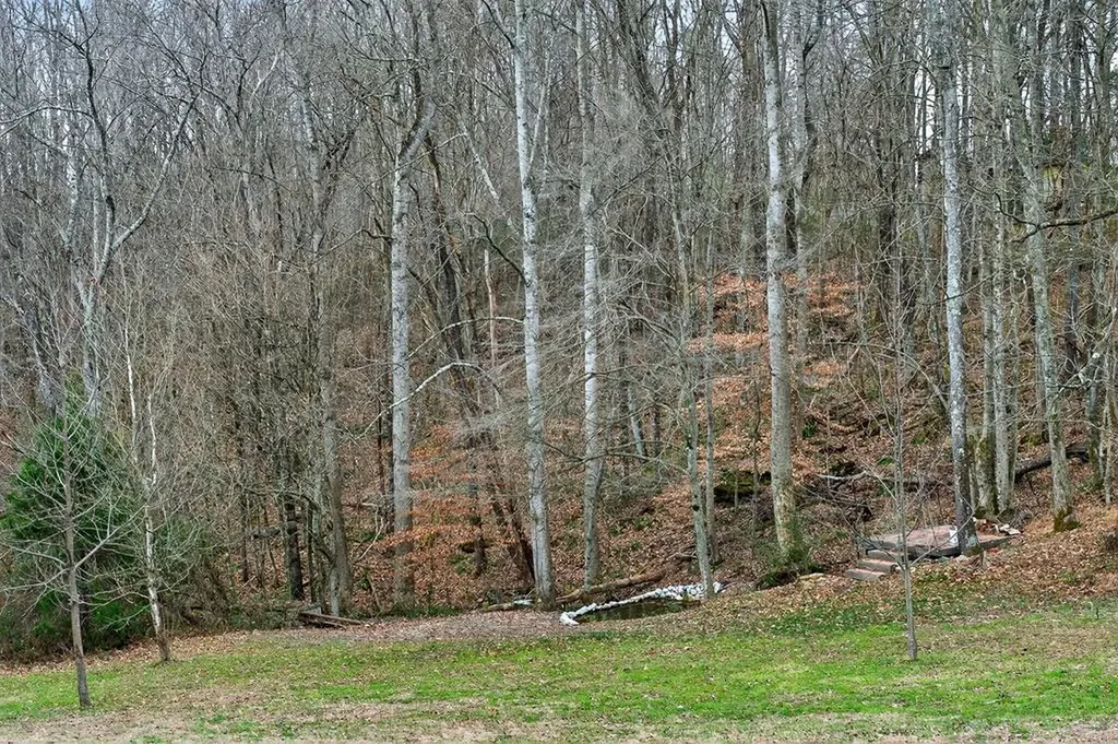 1423 Moodyville Loop Byrdstown TN 38549