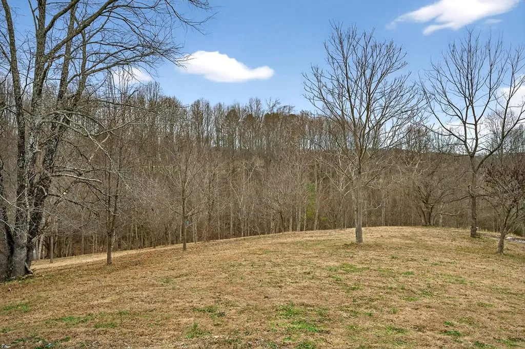1423 Moodyville Loop Byrdstown TN 38549