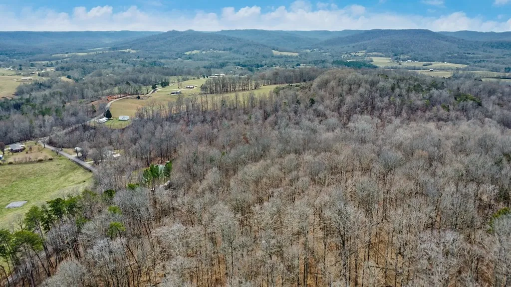 N/a Shellotte Loop Pall Mall TN 38577