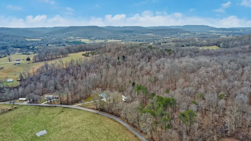 N/a Shellotte Loop Pall Mall TN 38577