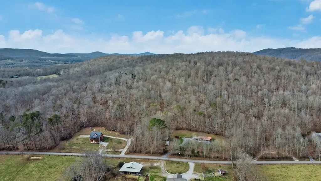 N/a Shellotte Loop Pall Mall TN 38577