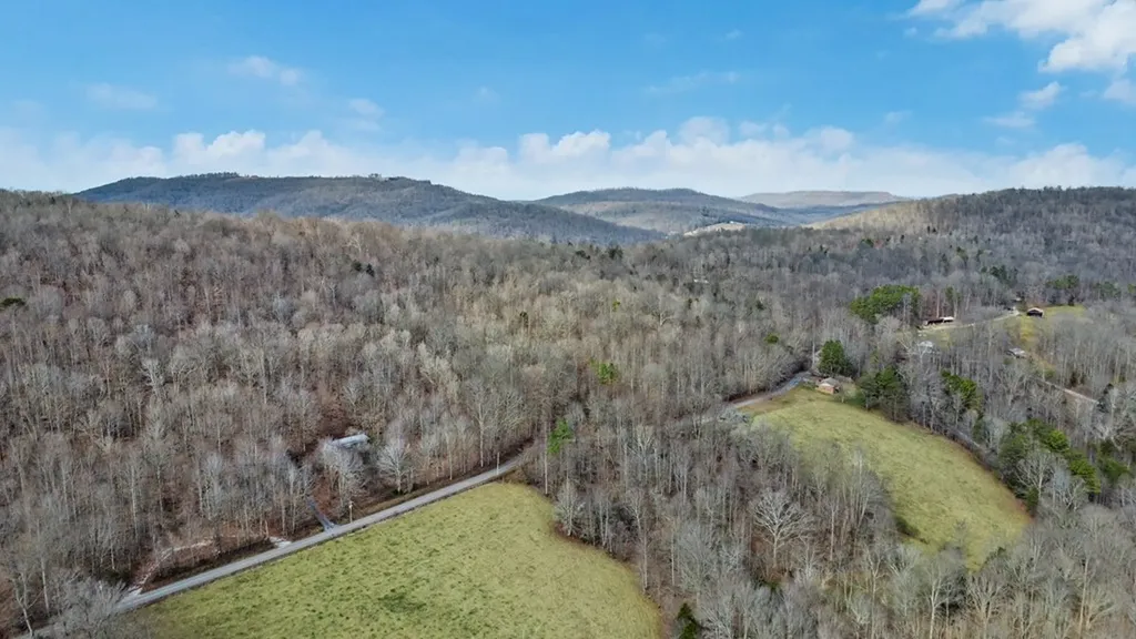 N/a Shellotte Loop Pall Mall TN 38577