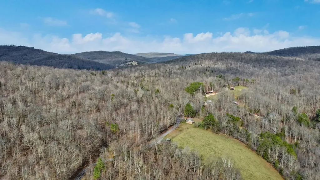 N/a Shellotte Loop Pall Mall TN 38577