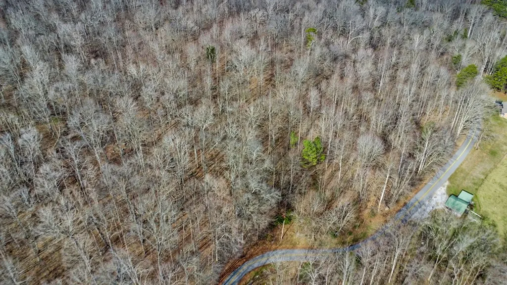 N/a Shellotte Loop Pall Mall TN 38577
