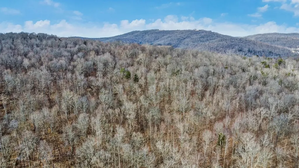 N/a Shellotte Loop Pall Mall TN 38577
