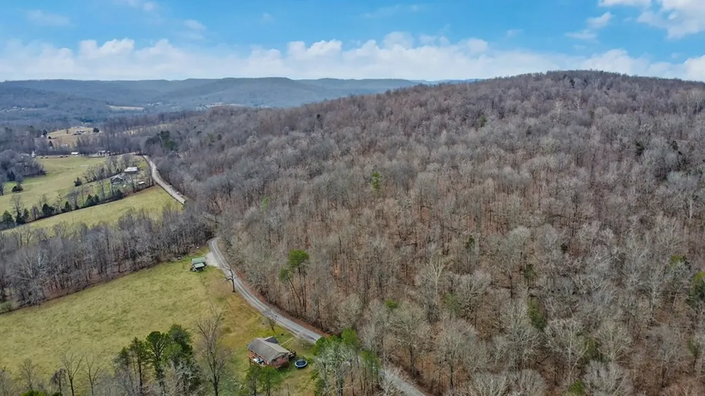 N/a Shellotte Loop Pall Mall TN 38577