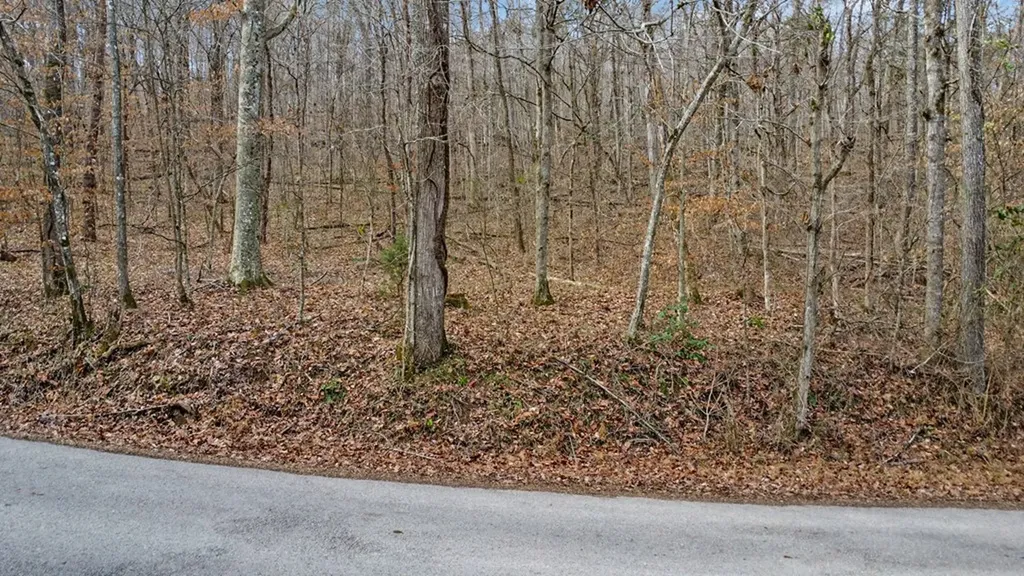 N/a Shellotte Loop Pall Mall TN 38577