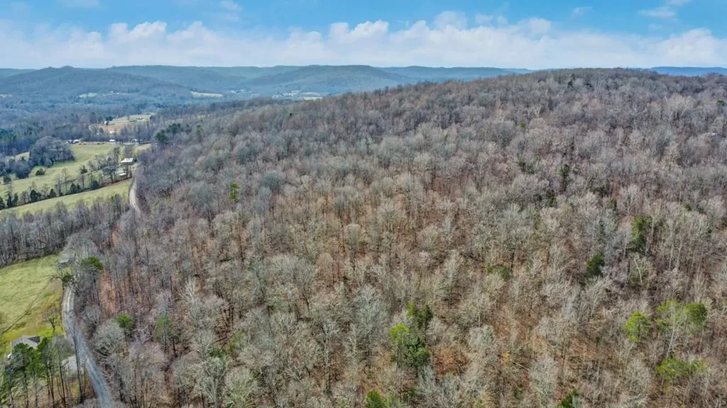 N/a Shellotte Loop Pall Mall TN 38577