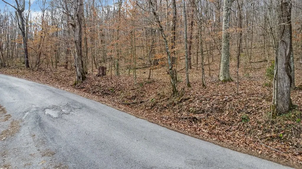 N/a Shellotte Loop Pall Mall TN 38577