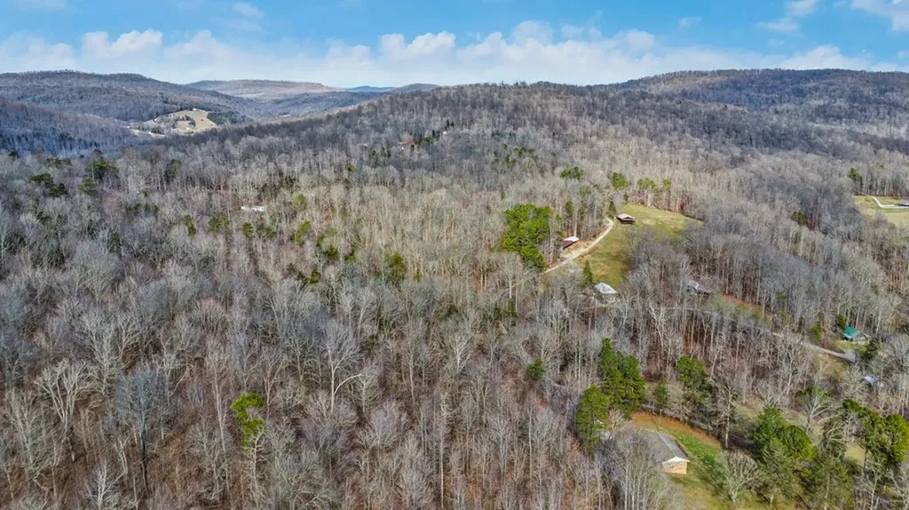 N/a Shellotte Loop Pall Mall TN 38577