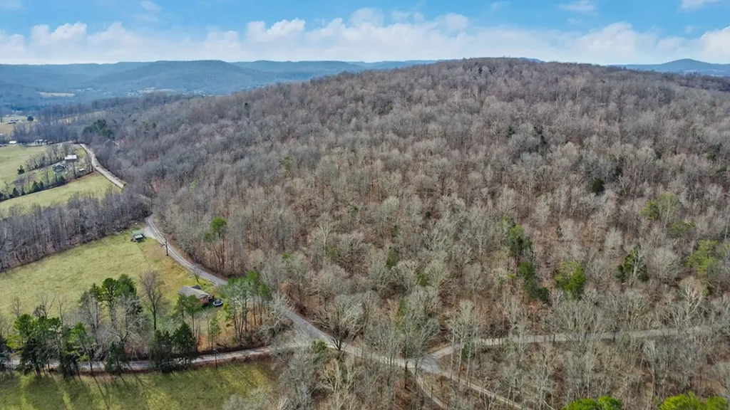 N/a Shellotte Loop Pall Mall TN 38577