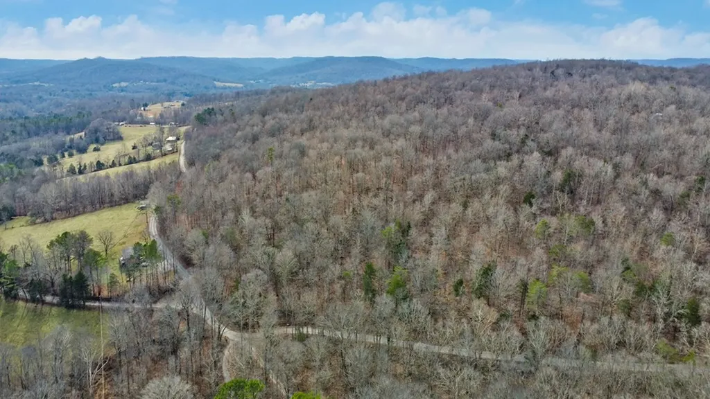 N/a Shellotte Loop Pall Mall TN 38577