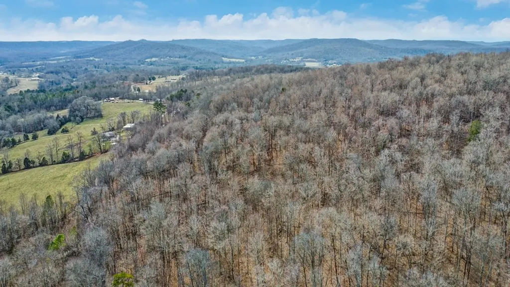 N/a Shellotte Loop Pall Mall TN 38577