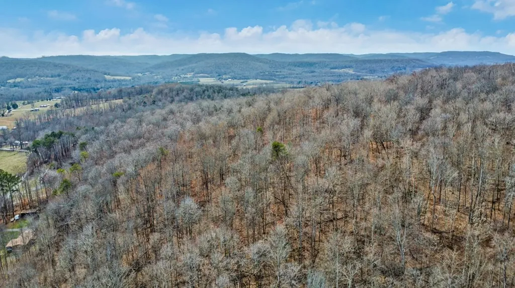 N/a Shellotte Loop Pall Mall TN 38577