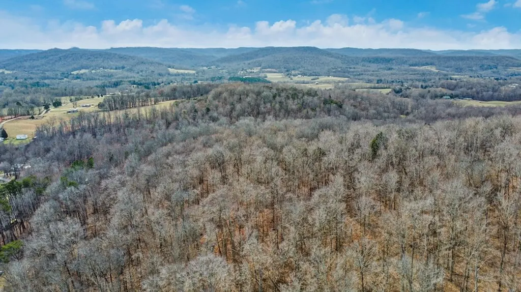 N/a Shellotte Loop Pall Mall TN 38577