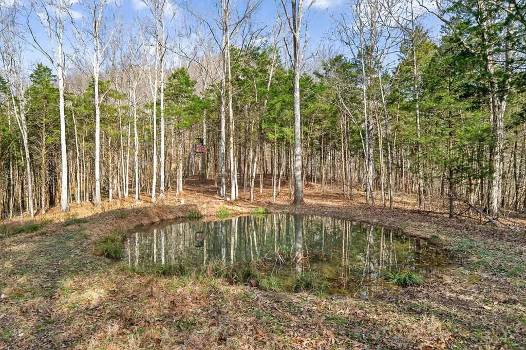 390 Taylor Hollow Lane Gainesboro TN 38562-5312