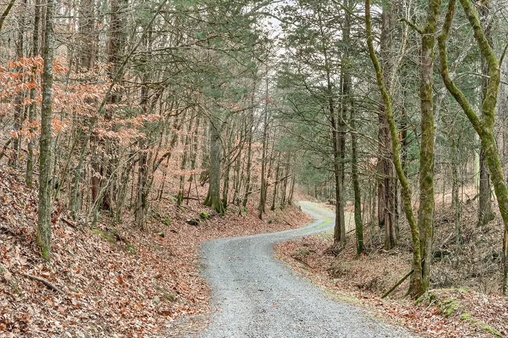 390 Taylor Hollow Lane Gainesboro TN 38562-5312