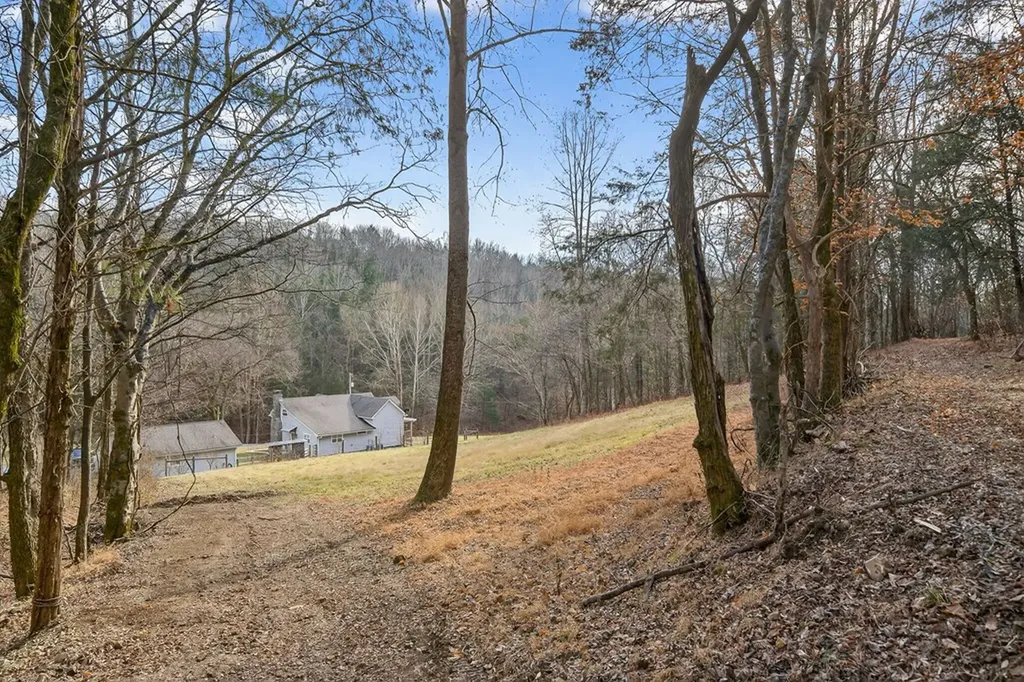 390 Taylor Hollow Lane Gainesboro TN 38562-5312