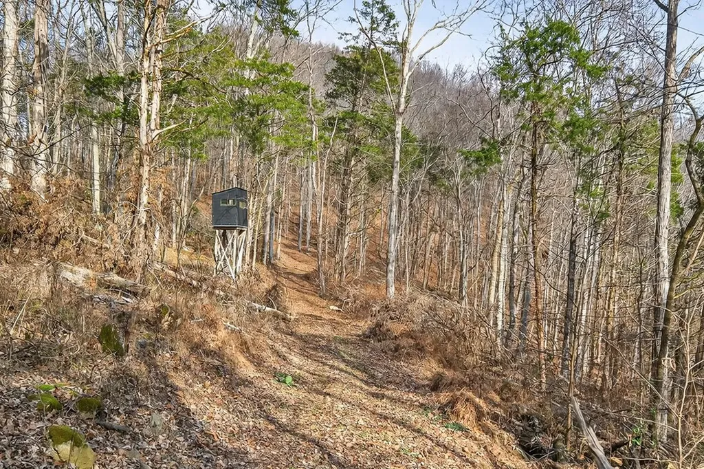 390 Taylor Hollow Lane Gainesboro TN 38562-5312