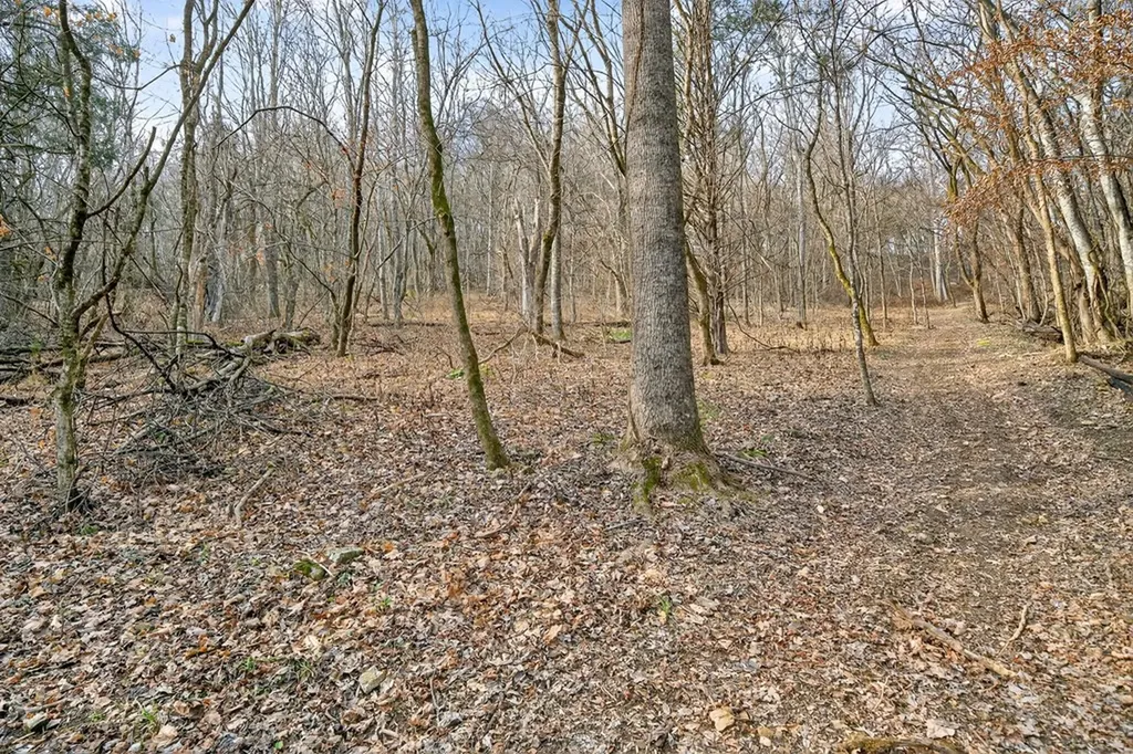 390 Taylor Hollow Lane Gainesboro TN 38562-5312