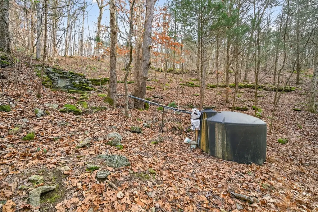 390 Taylor Hollow Lane Gainesboro TN 38562-5312