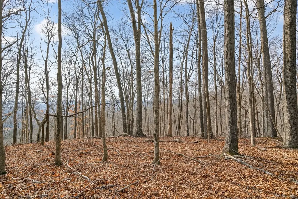 390 Taylor Hollow Lane Gainesboro TN 38562-5312