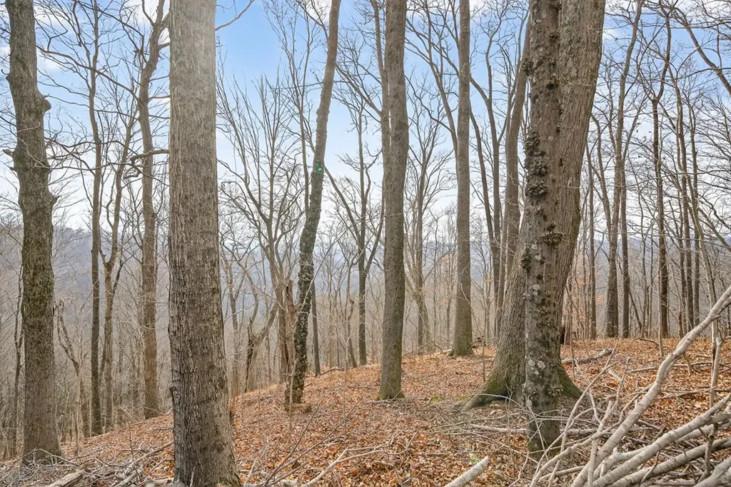 390 Taylor Hollow Lane Gainesboro TN 38562-5312