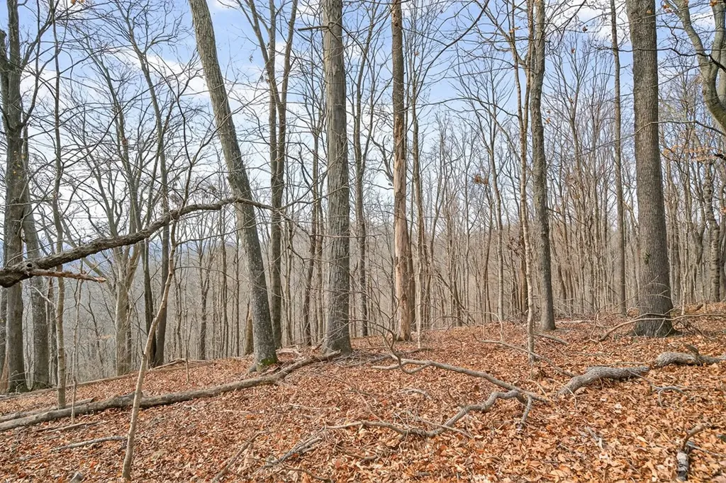 390 Taylor Hollow Lane Gainesboro TN 38562-5312