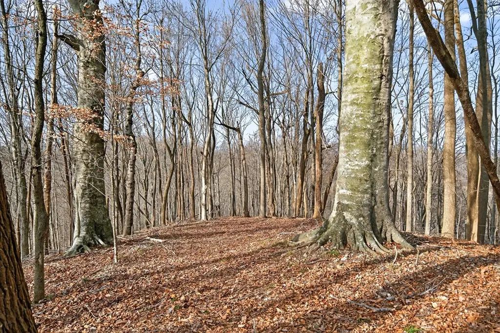 390 Taylor Hollow Lane Gainesboro TN 38562-5312