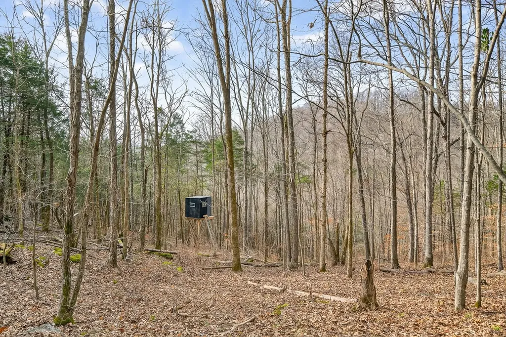 390 Taylor Hollow Lane Gainesboro TN 38562-5312