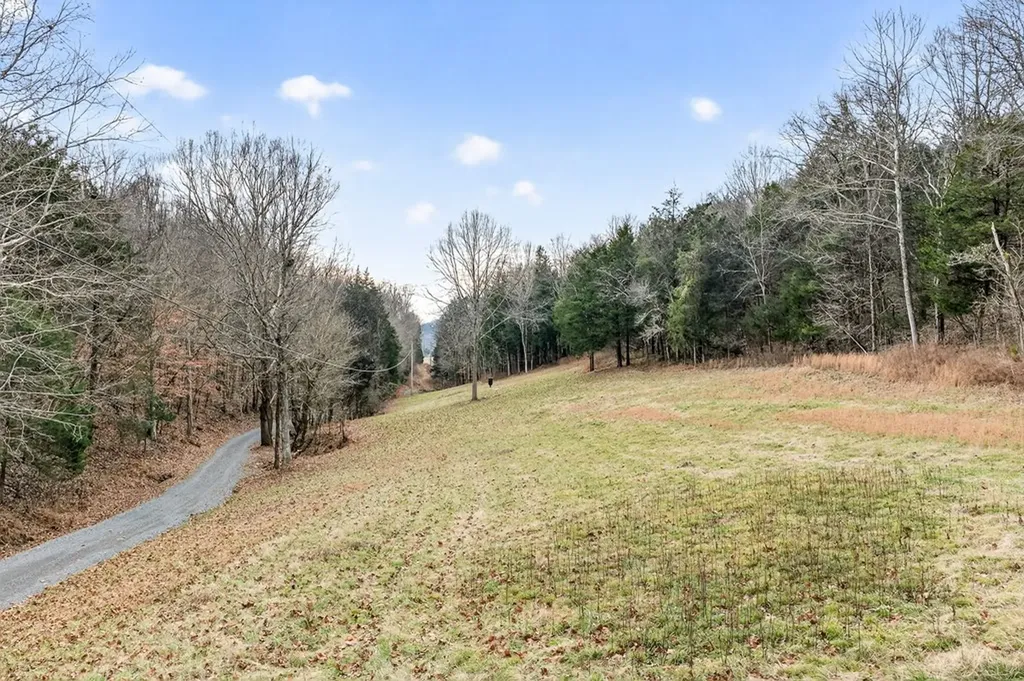 390 Taylor Hollow Lane Gainesboro TN 38562-5312