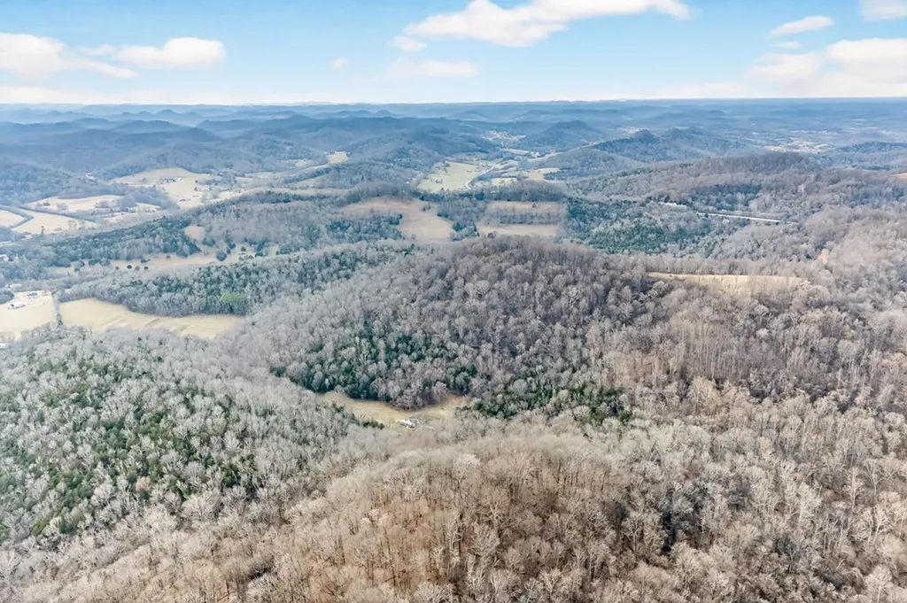 390 Taylor Hollow Lane Gainesboro TN 38562-5312