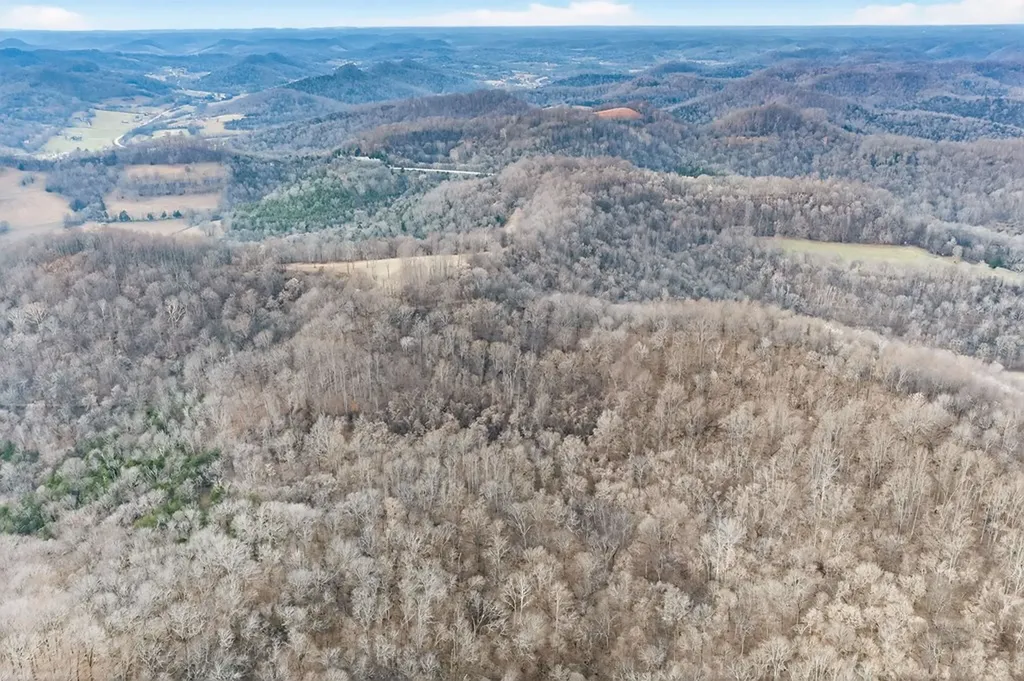 390 Taylor Hollow Lane Gainesboro TN 38562-5312