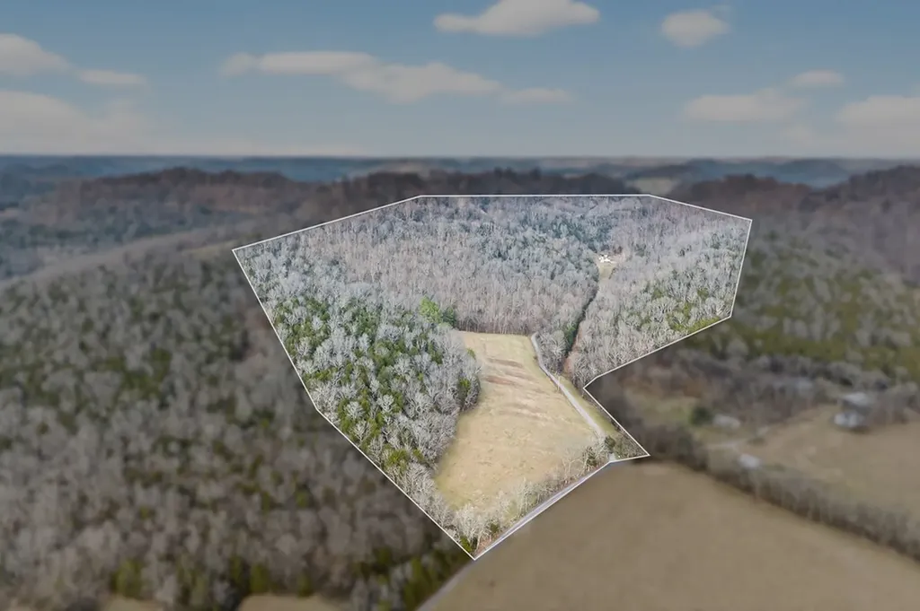 390 Taylor Hollow Lane Gainesboro TN 38562-5312