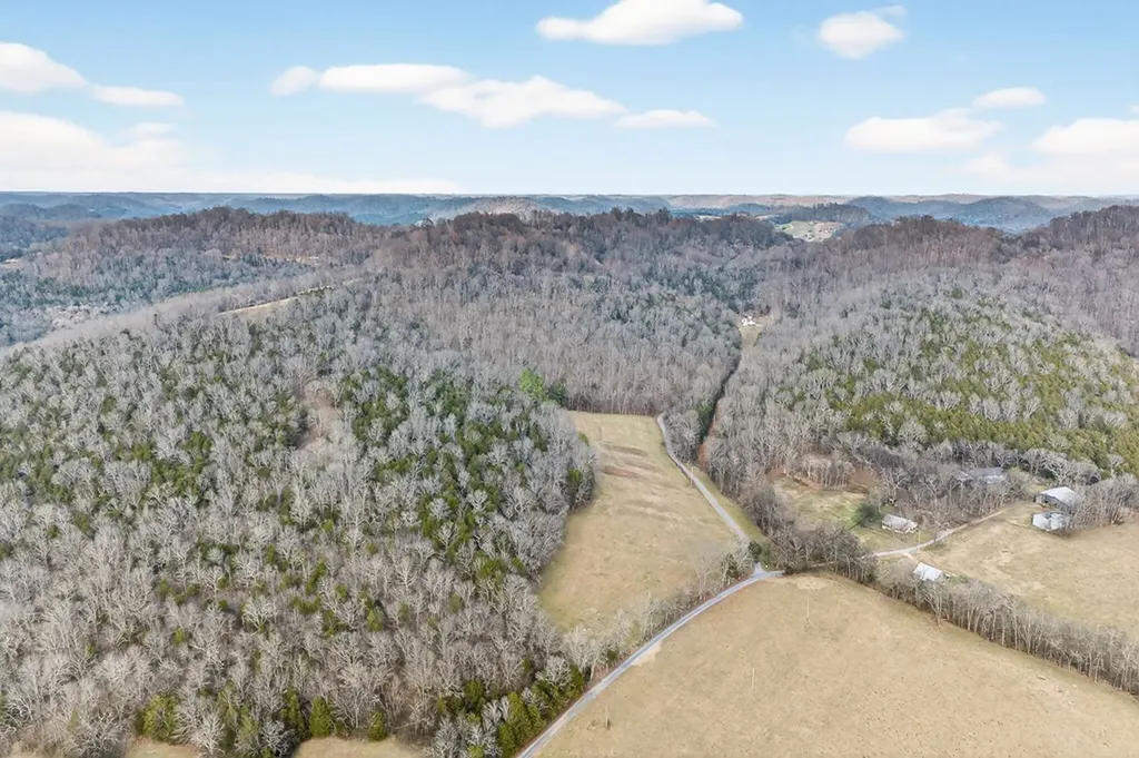 390 Taylor Hollow Lane Gainesboro TN 38562-5312