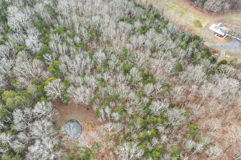 390 Taylor Hollow Lane Gainesboro TN 38562-5312