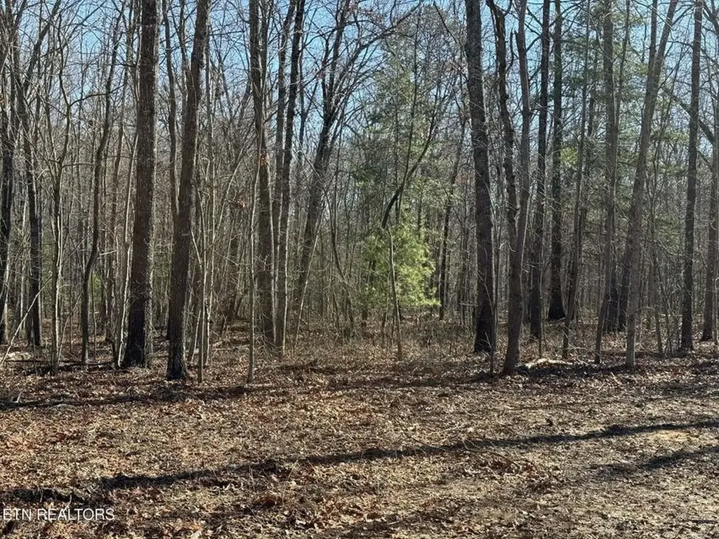 271 Georgee Road Jamestown TN 38556