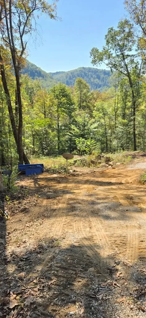 1354 East Obey Lane Wilder TN 38589