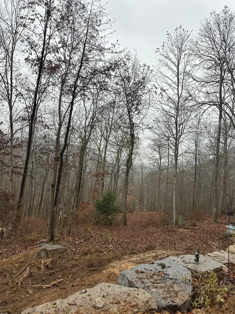 1354 East Obey Lane Wilder TN 38589