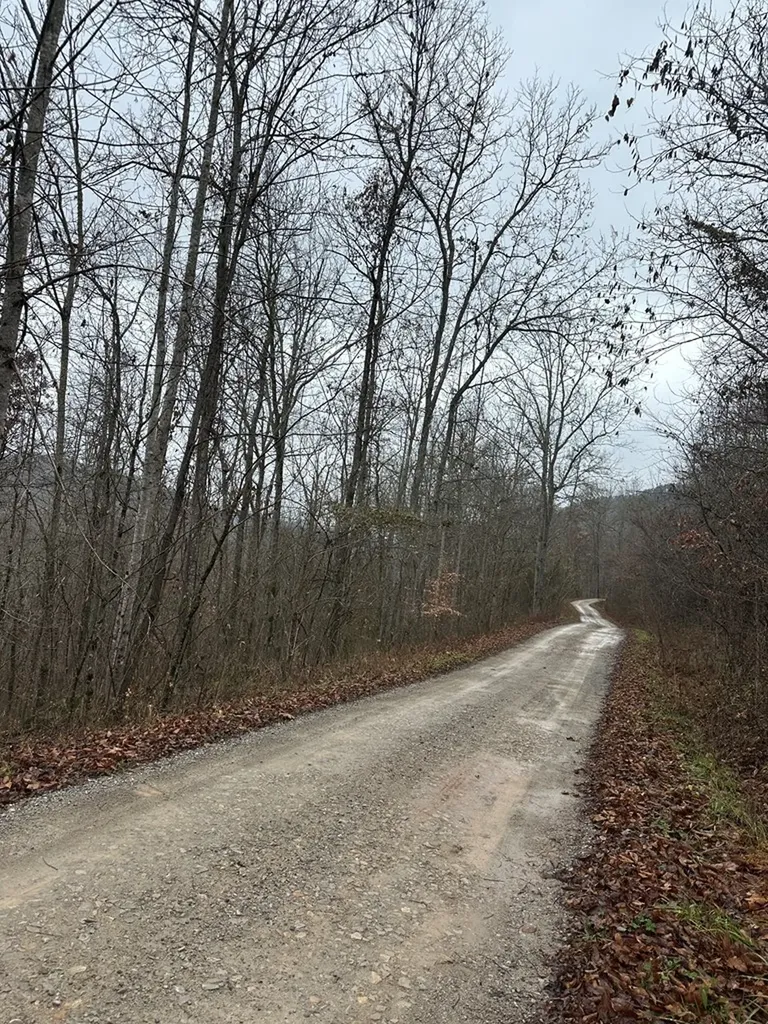 1354 East Obey Lane Wilder TN 38589