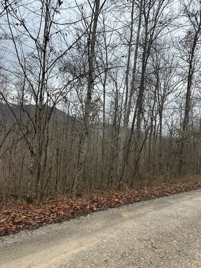 1354 East Obey Lane Wilder TN 38589