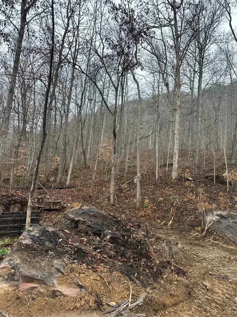 1354 East Obey Lane Wilder TN 38589