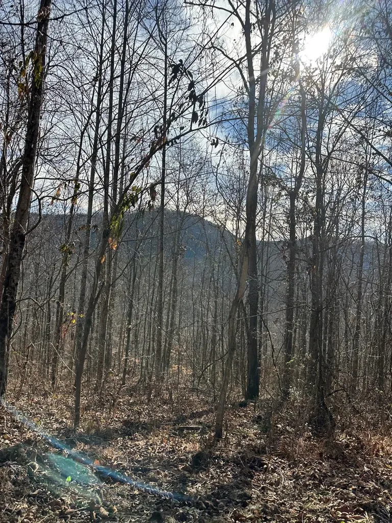 1354 East Obey Lane Wilder TN 38589