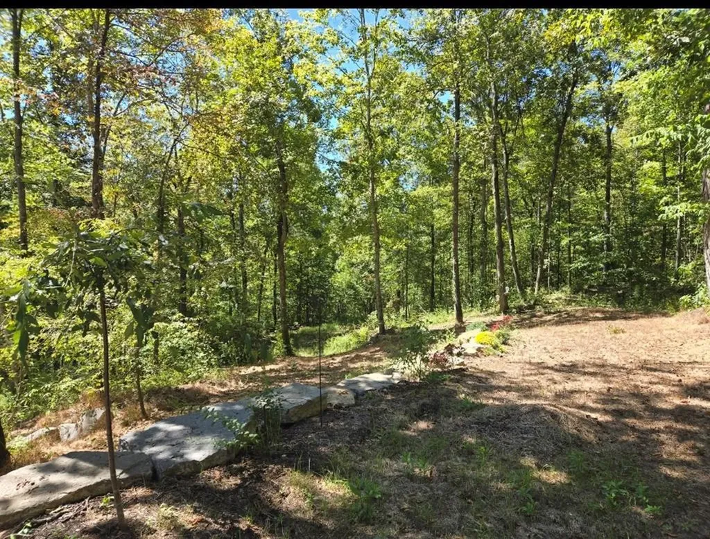 1354 East Obey Lane Wilder TN 38589