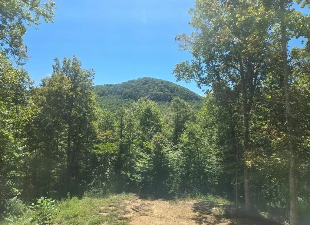 1354 East Obey Lane Wilder TN 38589