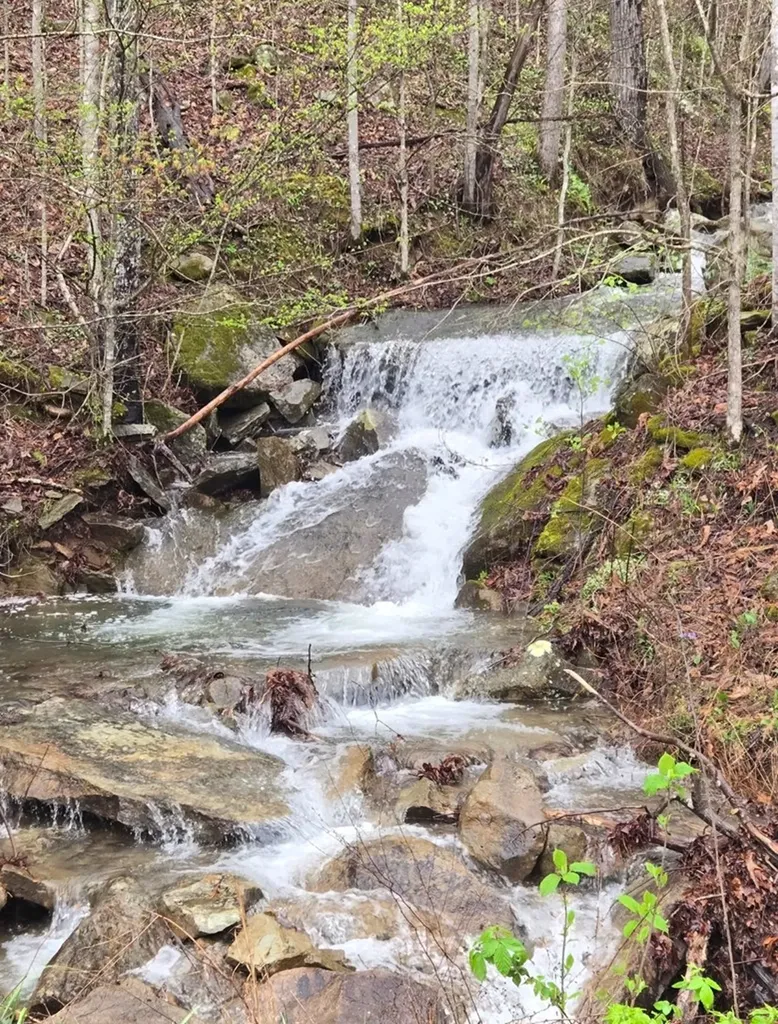 1354 East Obey Lane Wilder TN 38589