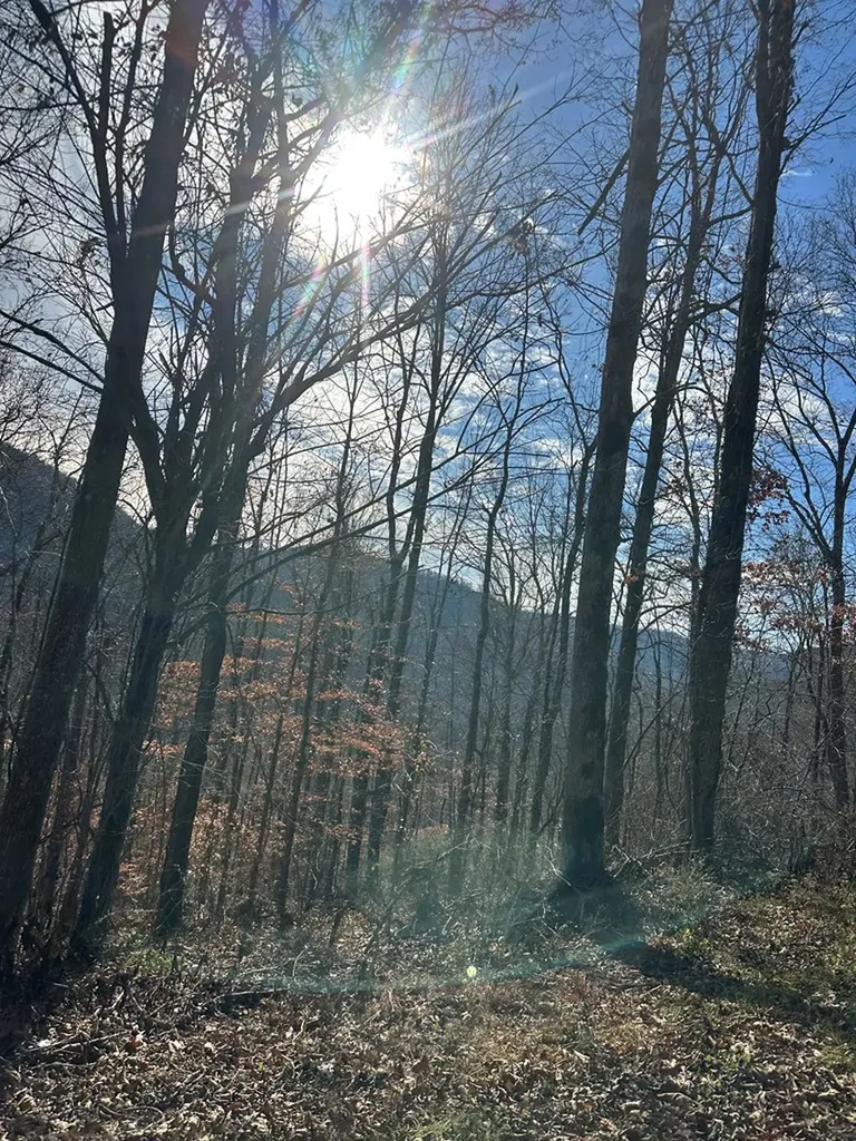 1354 East Obey Lane Wilder TN 38589