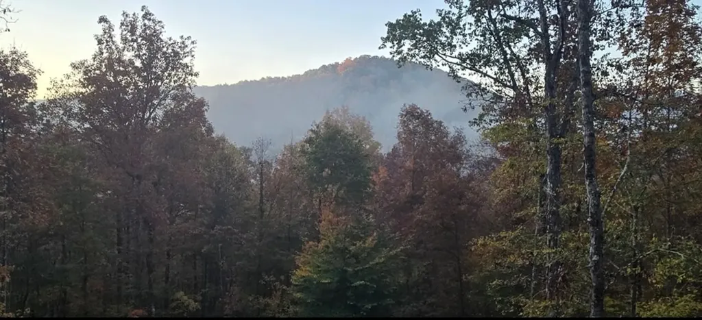 1354 East Obey Lane Wilder TN 38589